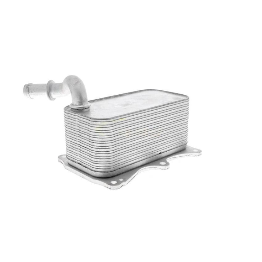 VEMO V30-60-1342 Oil Cooler, engine oil