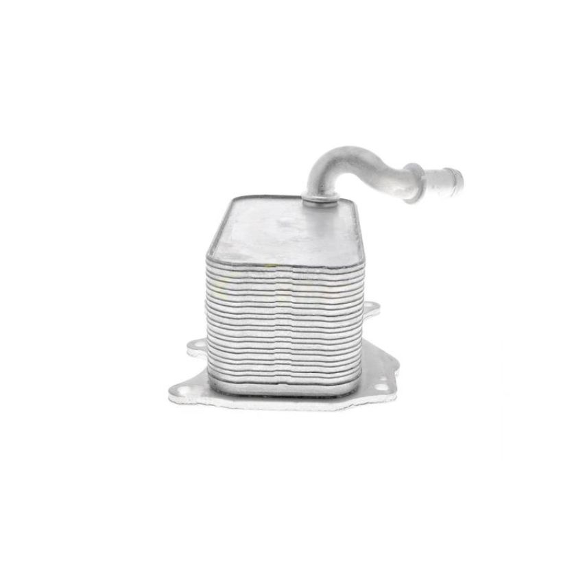 VEMO V30-60-1342 Oil Cooler, engine oil