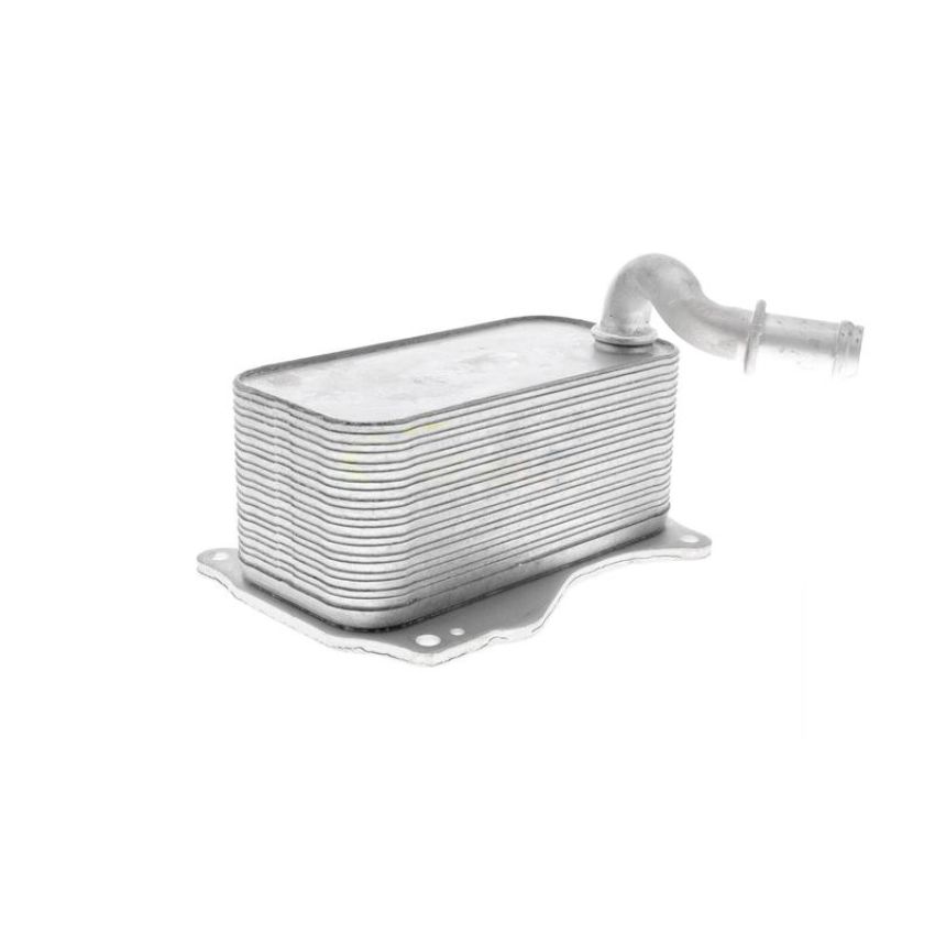 VEMO V30-60-1342 Oil Cooler, engine oil