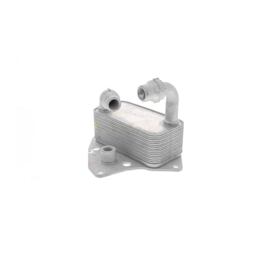 VEMO V40-60-2100 Oil Cooler, engine oil