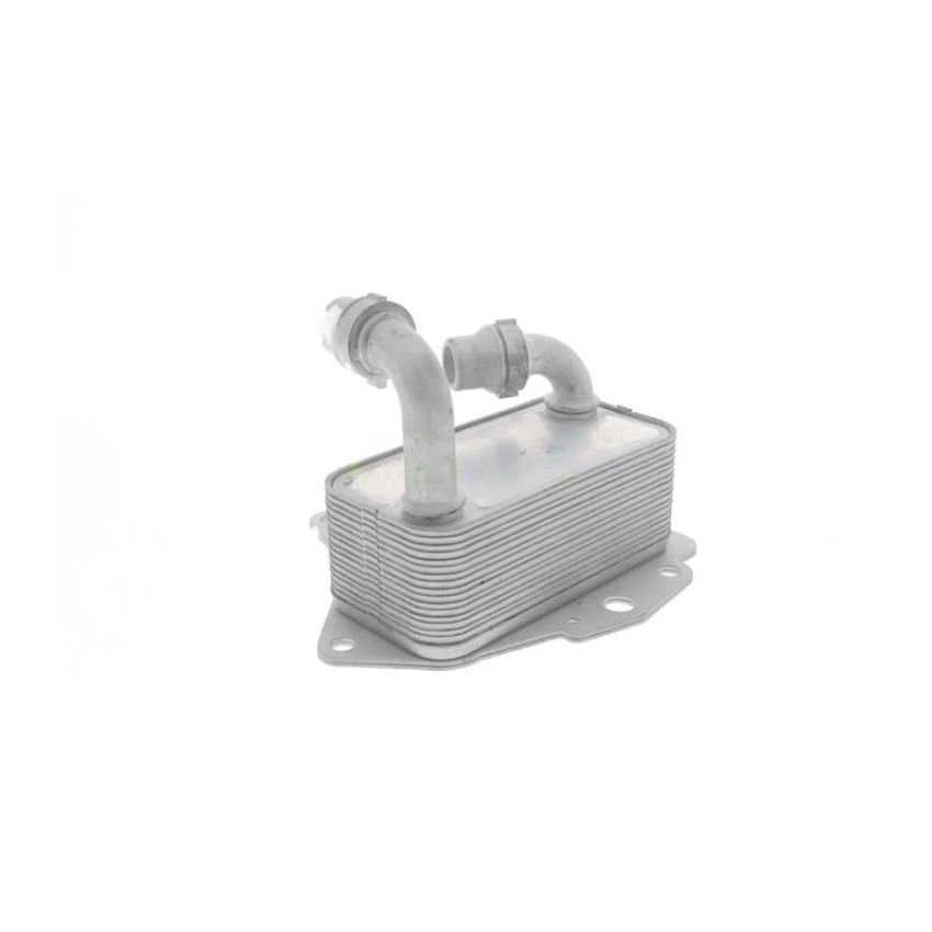 VEMO V40-60-2100 Oil Cooler, engine oil