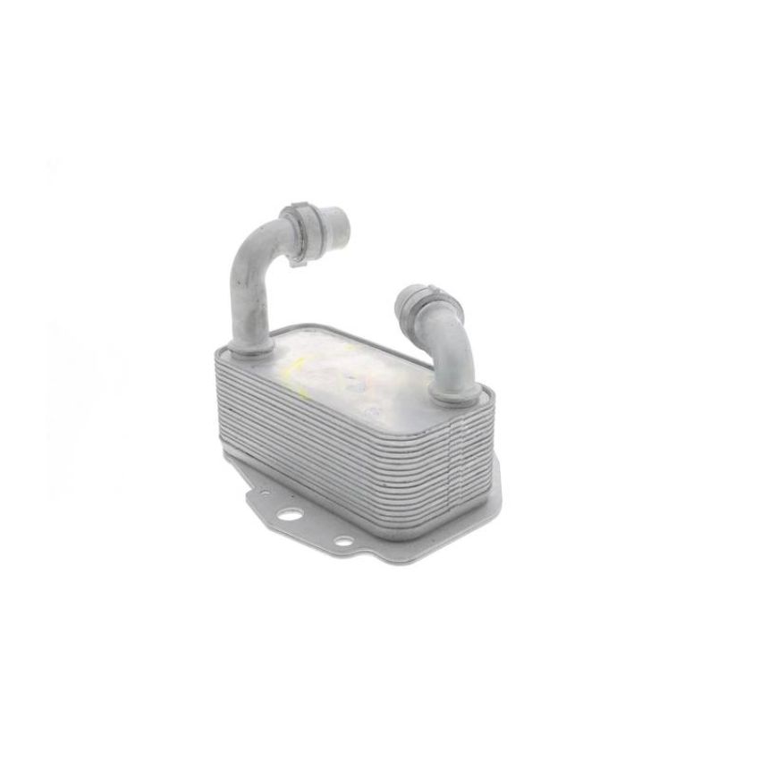 VEMO V40-60-2100 Oil Cooler, engine oil