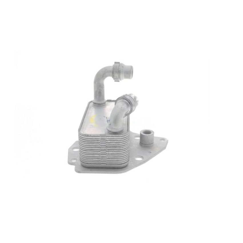 VEMO V40-60-2100 Oil Cooler, engine oil