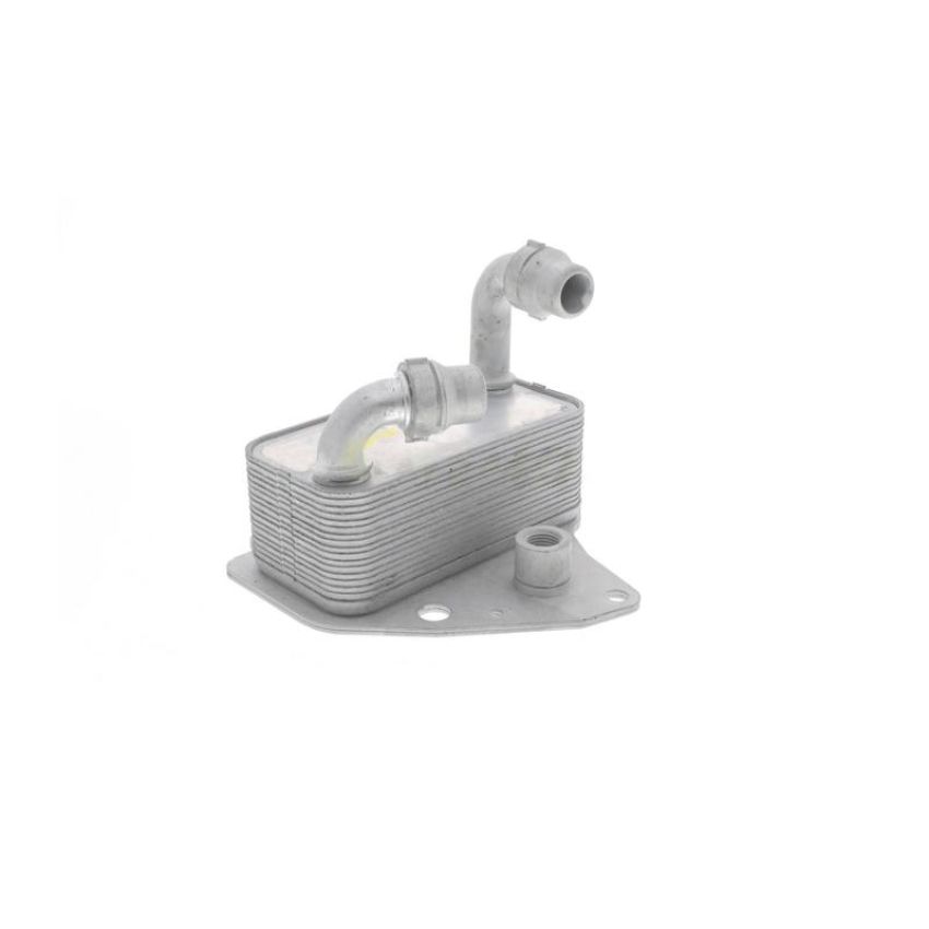 VEMO V40-60-2100 Oil Cooler, engine oil