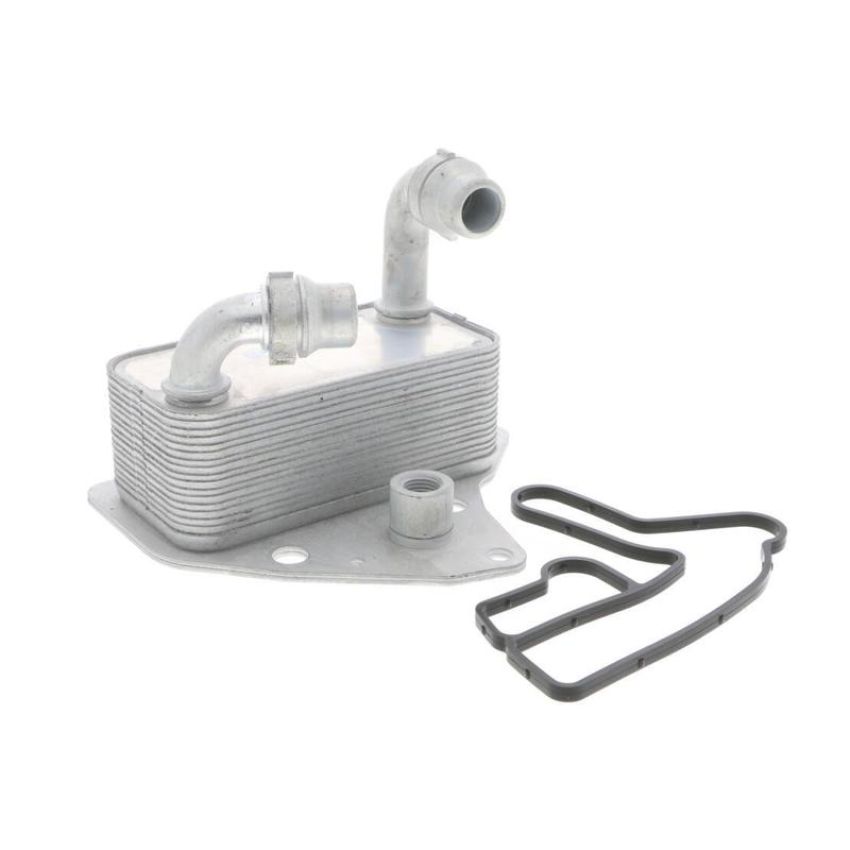 VEMO V40-60-2100 Oil Cooler, engine oil