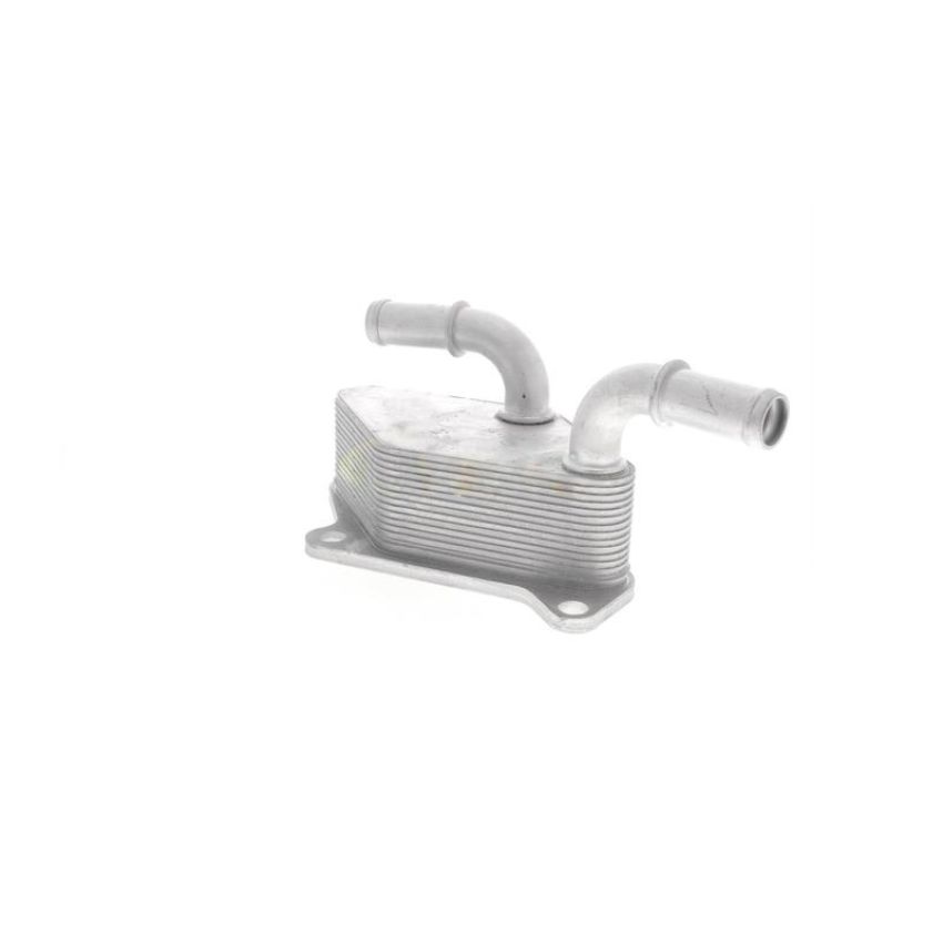 VEMO V40-60-2104 Oil Cooler, engine oil