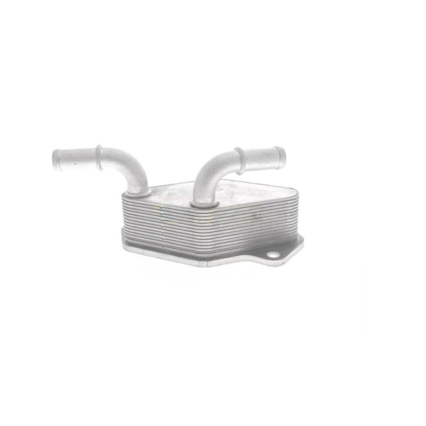 VEMO V40-60-2104 Oil Cooler, engine oil