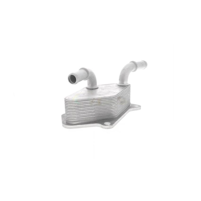 VEMO V40-60-2104 Oil Cooler, engine oil