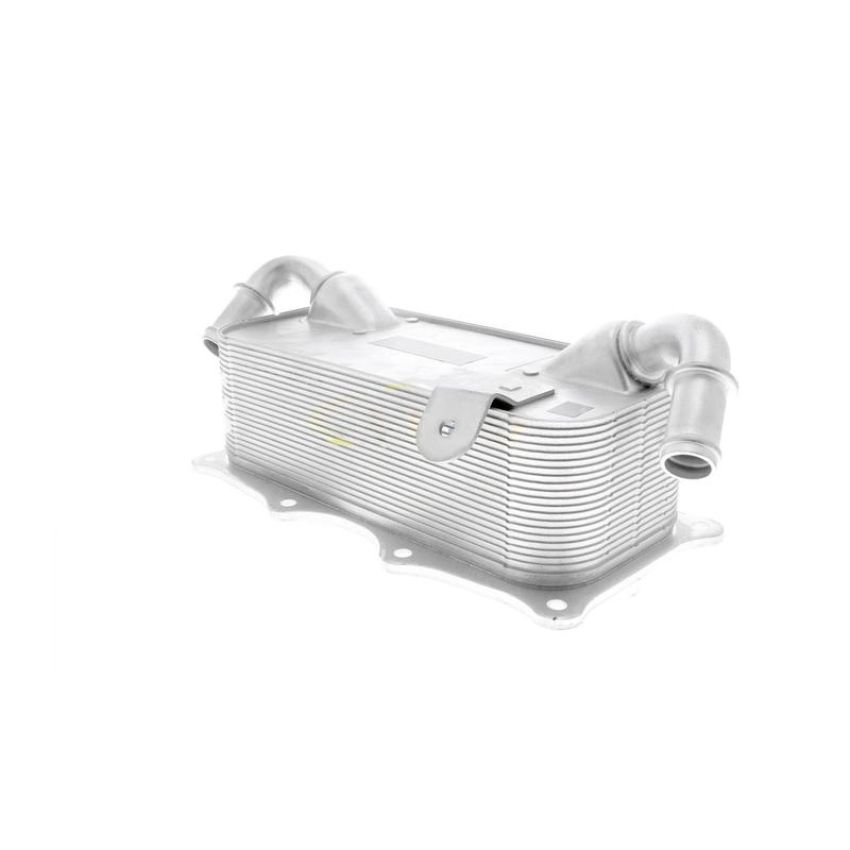 VEMO V45-60-0004 Oil Cooler, engine oil