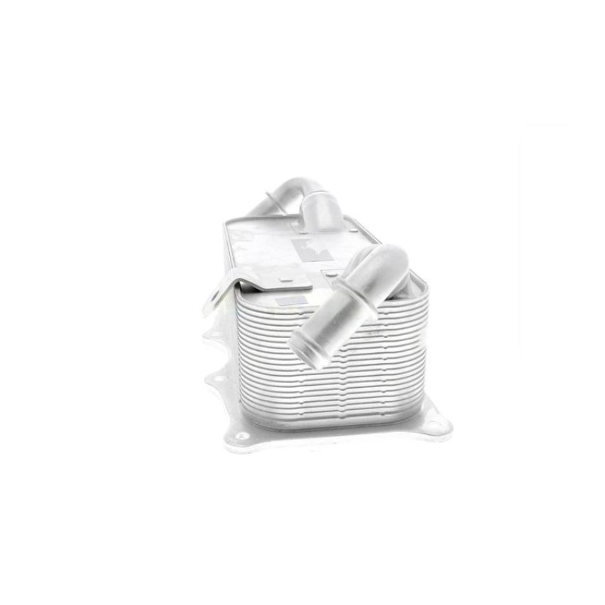 VEMO V45-60-0004 Oil Cooler, engine oil