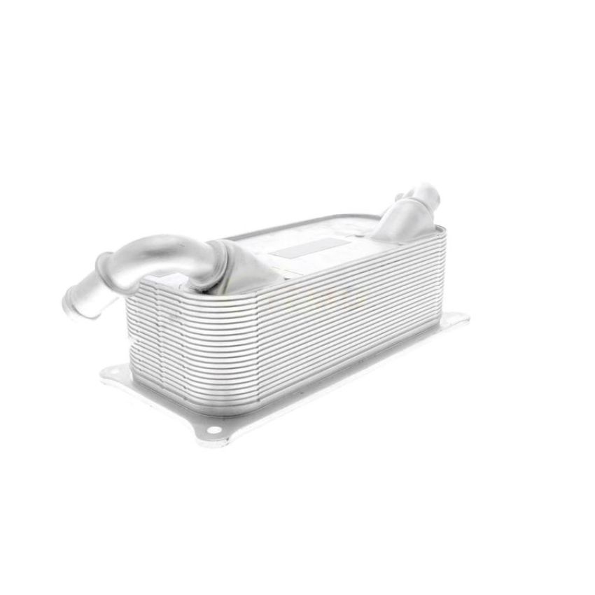 VEMO V45-60-0004 Oil Cooler, engine oil
