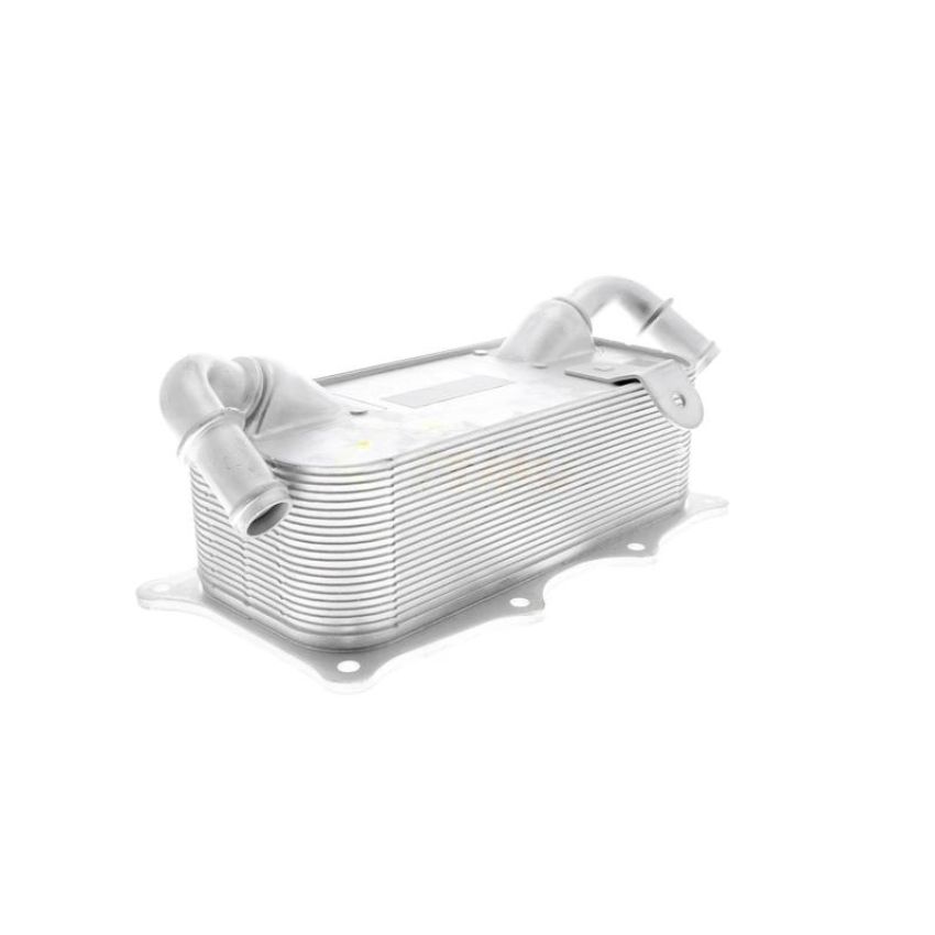 VEMO V45-60-0004 Oil Cooler, engine oil