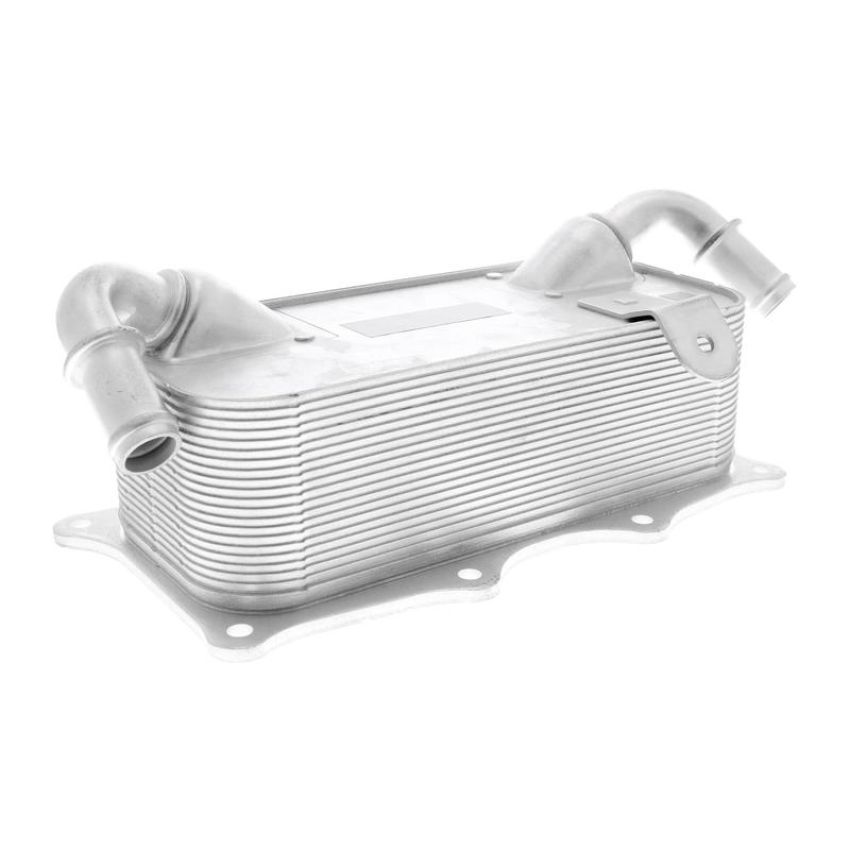 VEMO V45-60-0004 Oil Cooler, engine oil