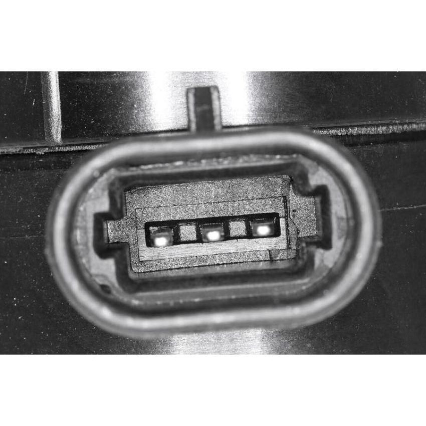 VEMO V51-72-0131 Sensor, level control
