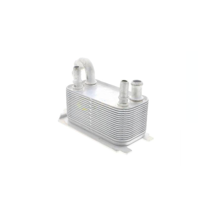 VEMO V95-60-0005 Oil Cooler, engine oil