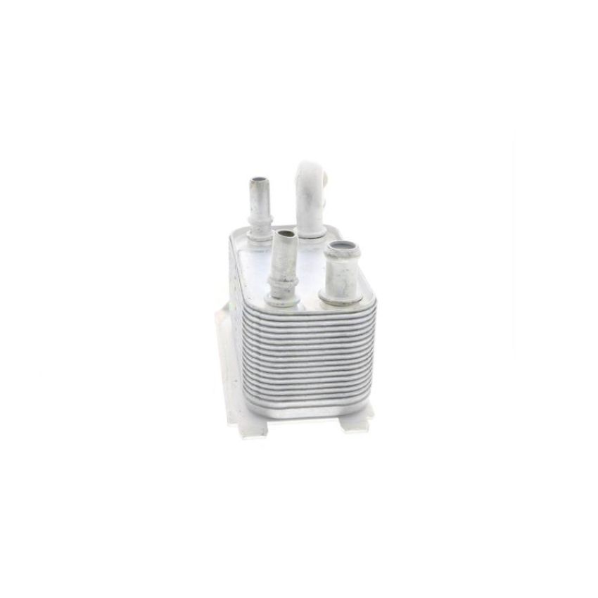 VEMO V95-60-0005 Oil Cooler, engine oil