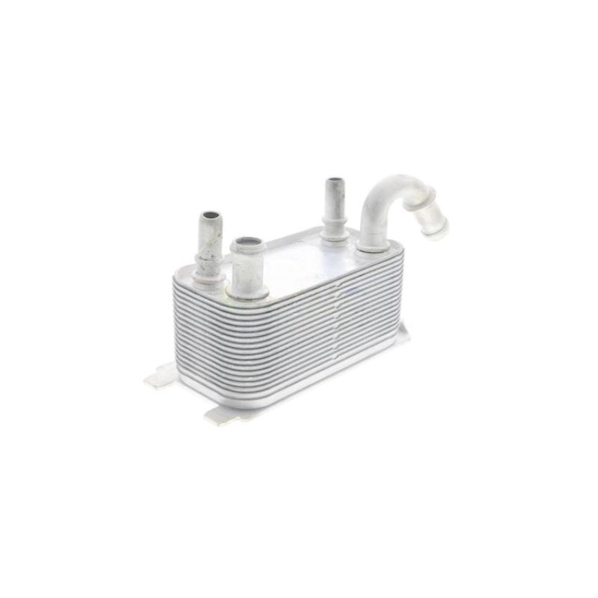 VEMO V95-60-0005 Oil Cooler, engine oil