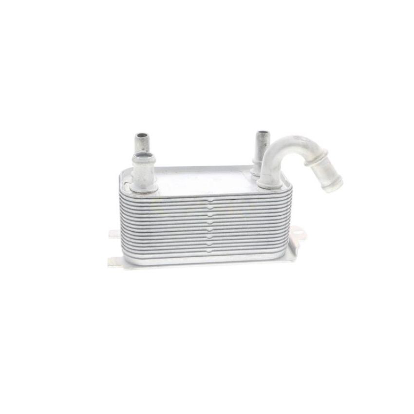 VEMO V95-60-0005 Oil Cooler, engine oil