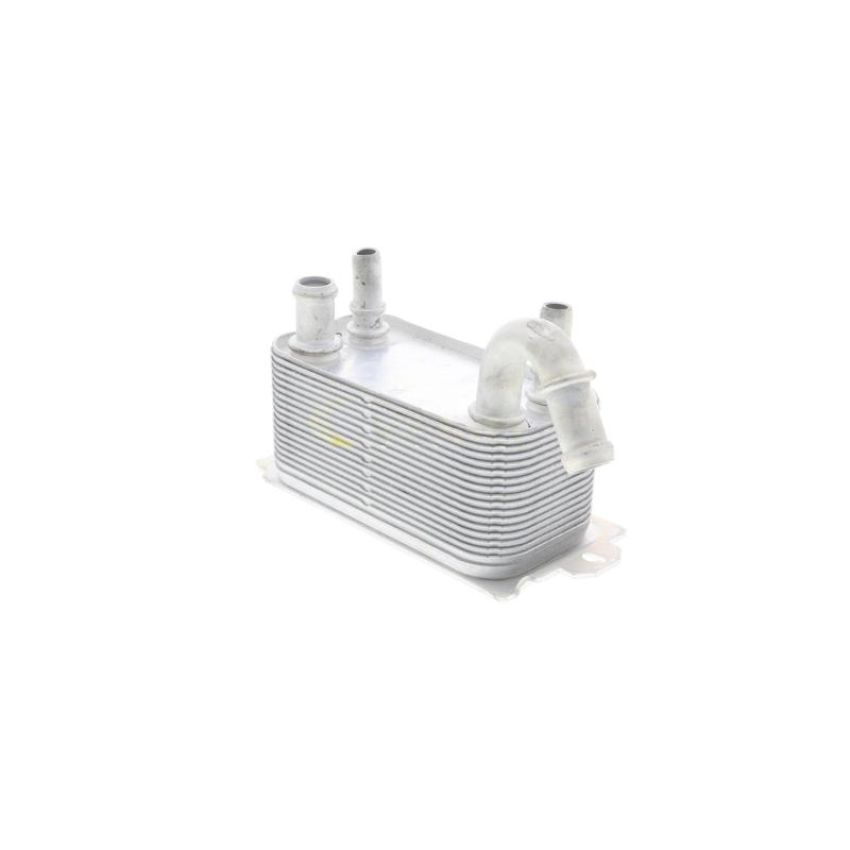 VEMO V95-60-0005 Oil Cooler, engine oil