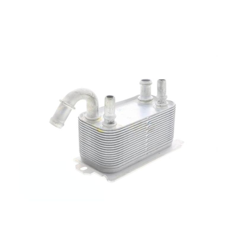 VEMO V95-60-0005 Oil Cooler, engine oil