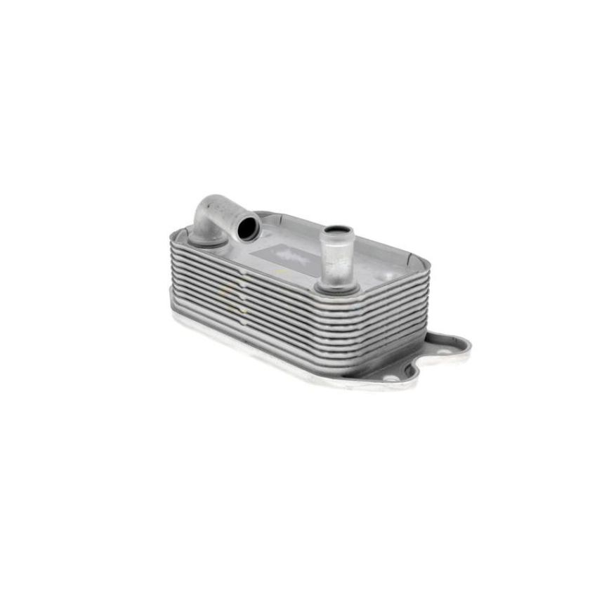 VEMO V95-60-0006 Oil Cooler, engine oil