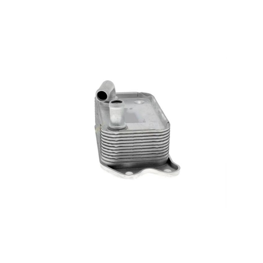 VEMO V95-60-0006 Oil Cooler, engine oil