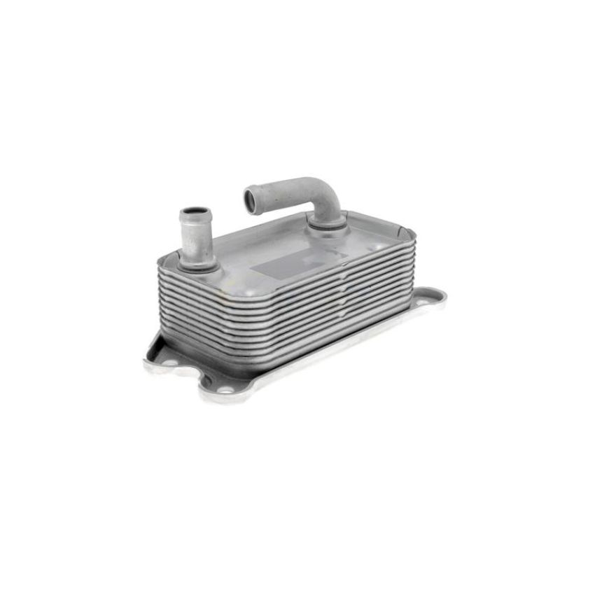 VEMO V95-60-0006 Oil Cooler, engine oil