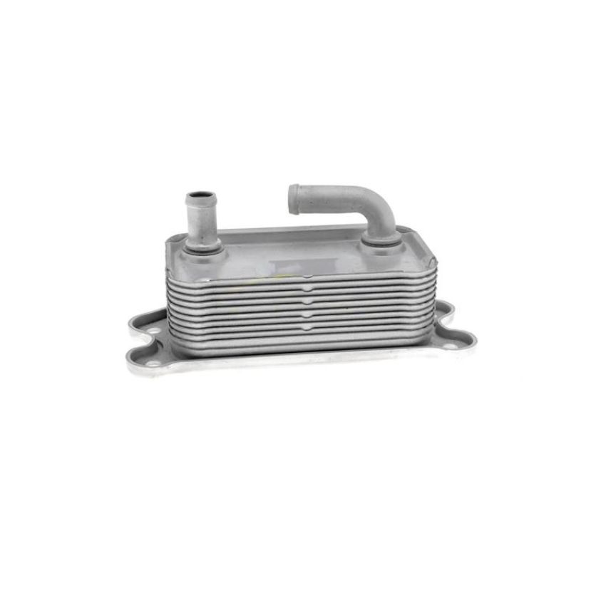 VEMO V95-60-0006 Oil Cooler, engine oil