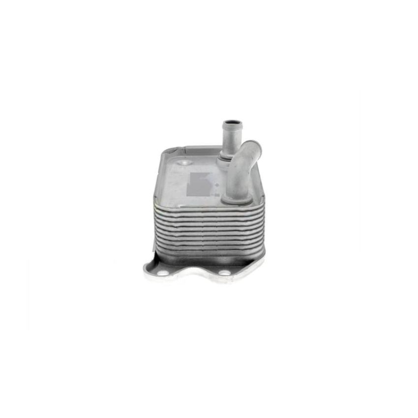 VEMO V95-60-0006 Oil Cooler, engine oil