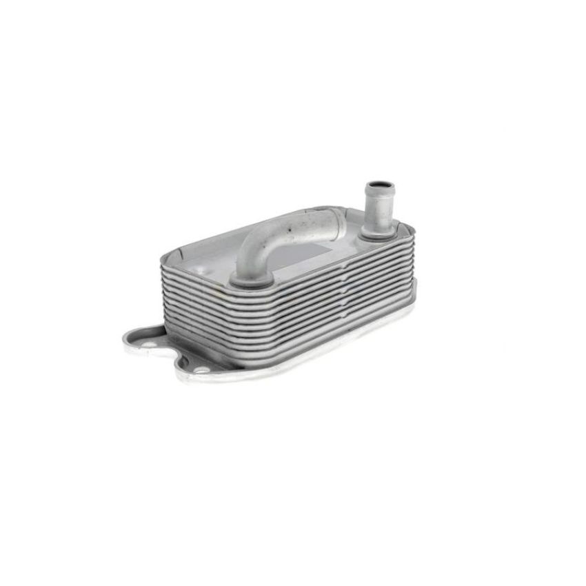 VEMO V95-60-0006 Oil Cooler, engine oil