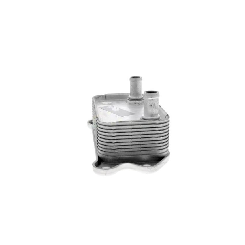 VEMO V95-60-0012 Oil Cooler, engine oil