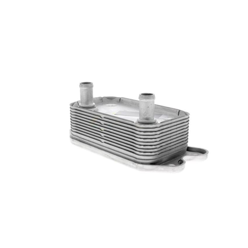 VEMO V95-60-0012 Oil Cooler, engine oil