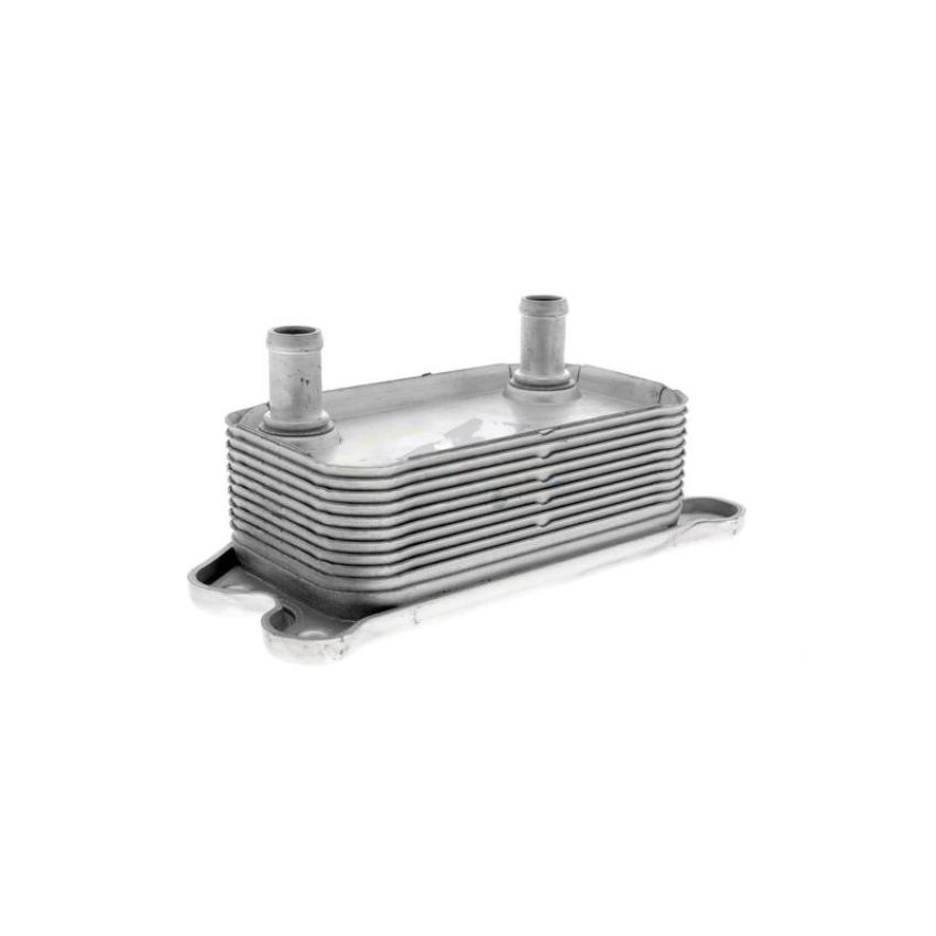 VEMO V95-60-0012 Oil Cooler, engine oil