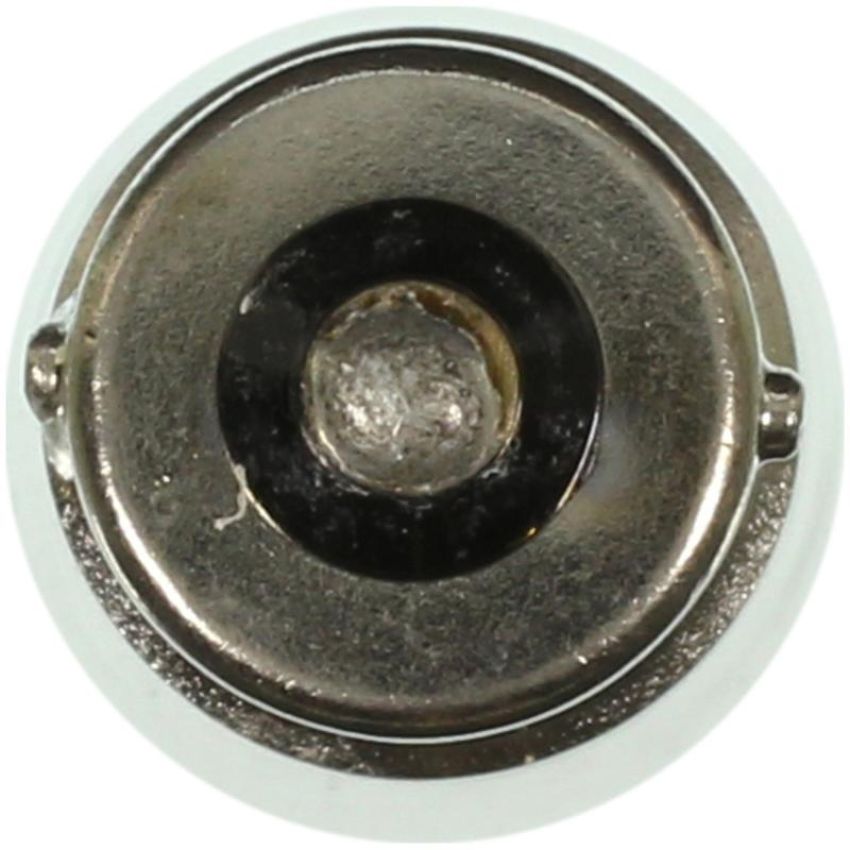 WAGNER LIGHTING 1003 Standard Multi-Purpose Light Bulb Box of 10