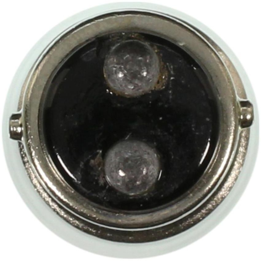 WAGNER LIGHTING 1004 Standard Multi-Purpose Light Bulb Box of 10