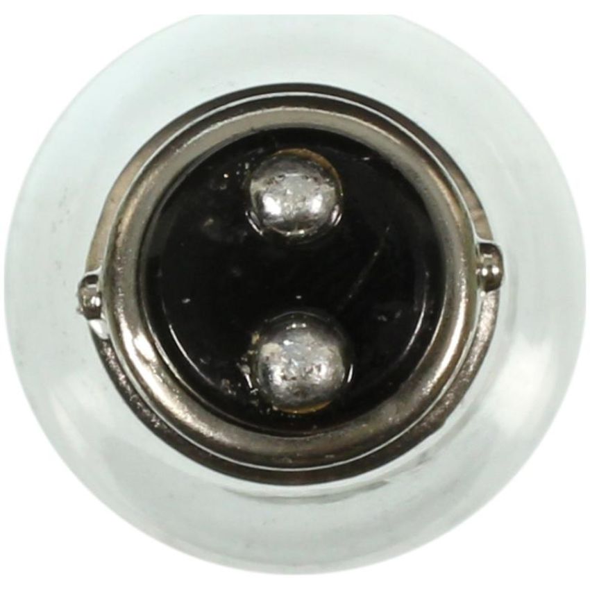 WAGNER LIGHTING 1034 Standard Multi-Purpose Light Bulb Box of 10