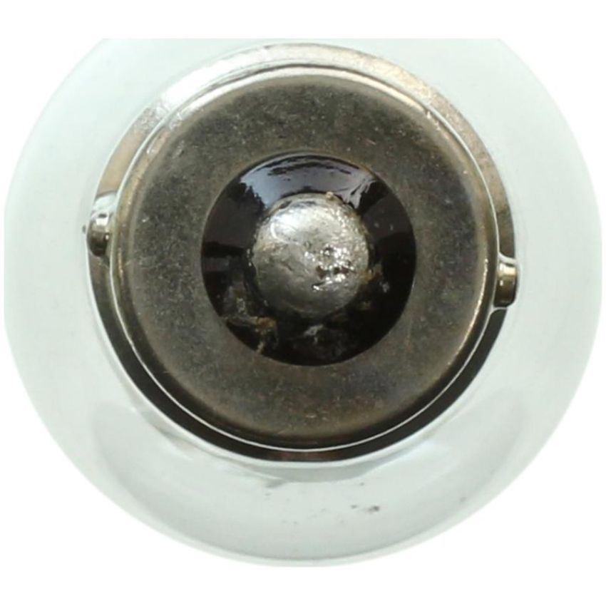 WAGNER LIGHTING 1073 Standard Multi-Purpose Light Bulb Box of 10