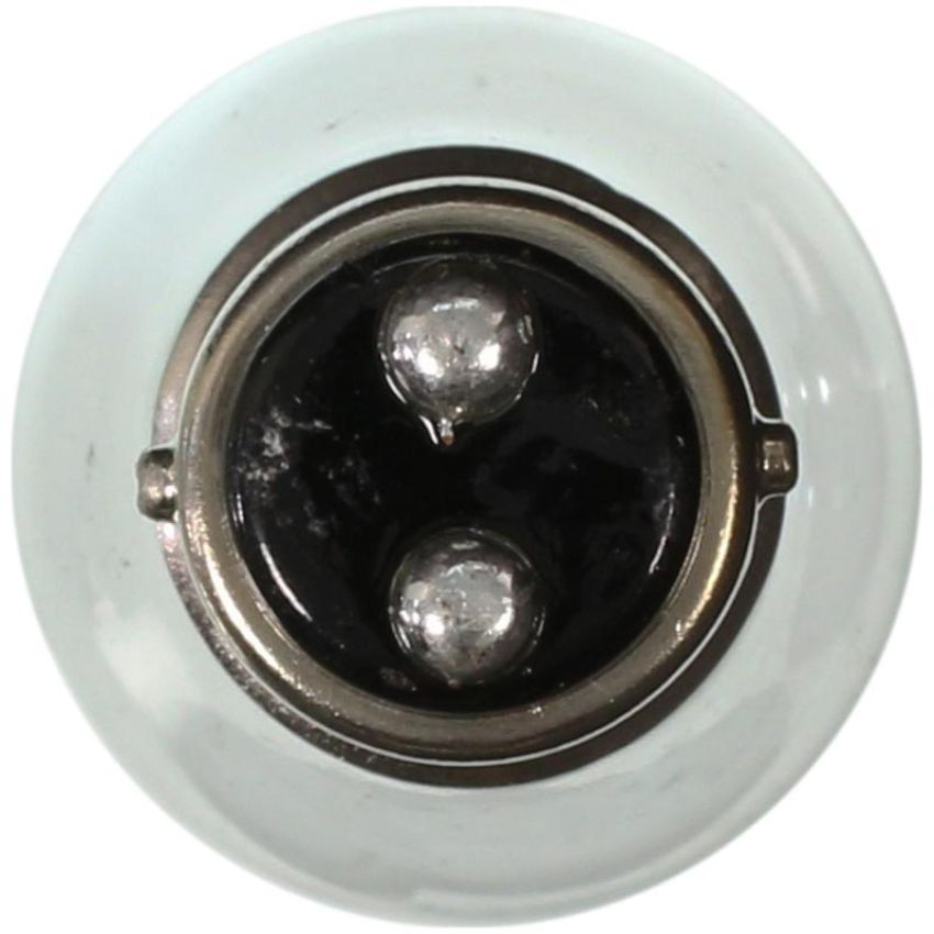 WAGNER LIGHTING 1076 Standard Multi-Purpose Light Bulb Box of 10