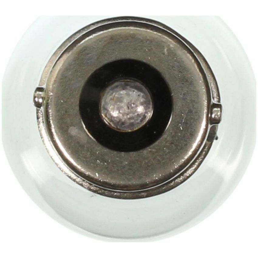 WAGNER LIGHTING 1141 Standard Multi-Purpose Light Bulb Box of 10