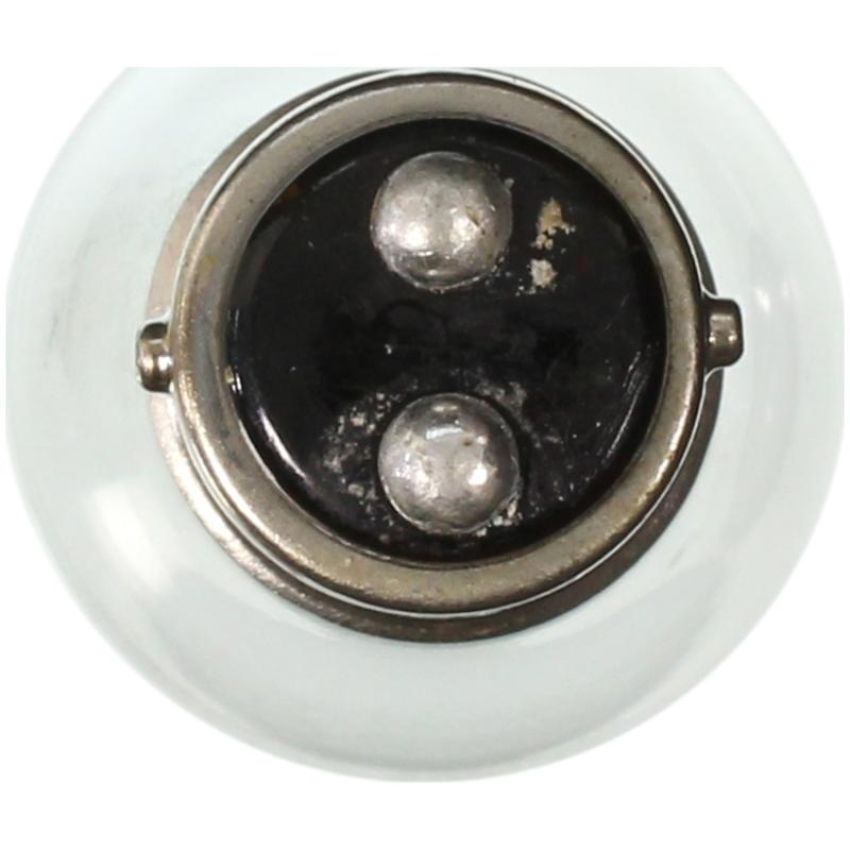 WAGNER LIGHTING 1142 Standard Multi-Purpose Light Bulb Box of 10