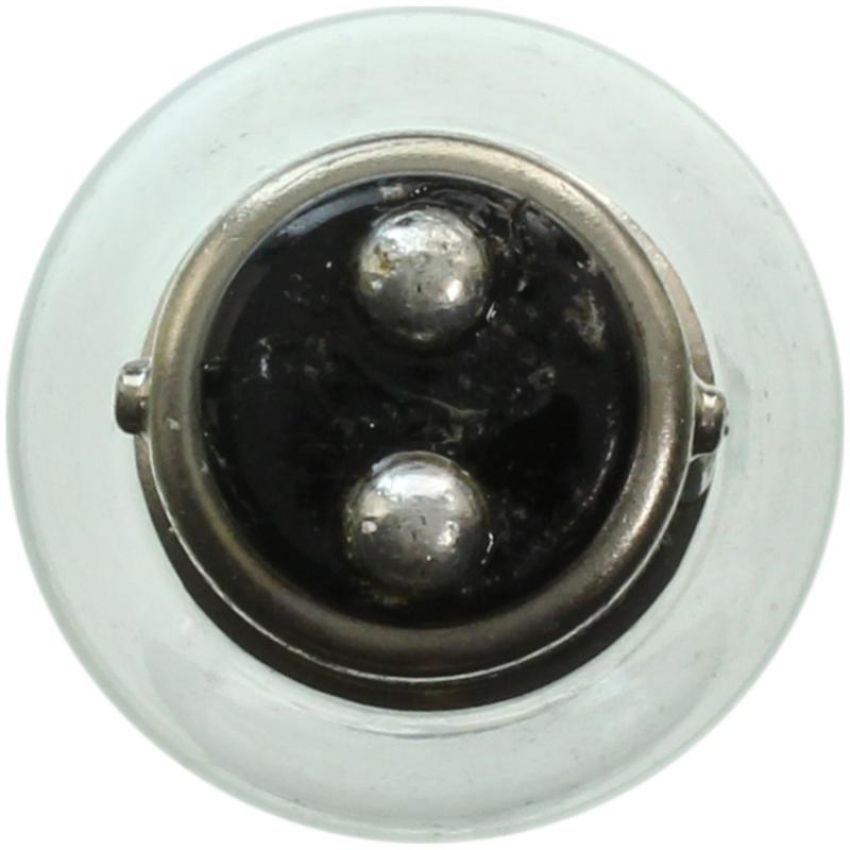 WAGNER LIGHTING 1154 Standard Multi-Purpose Light Bulb Box of 10