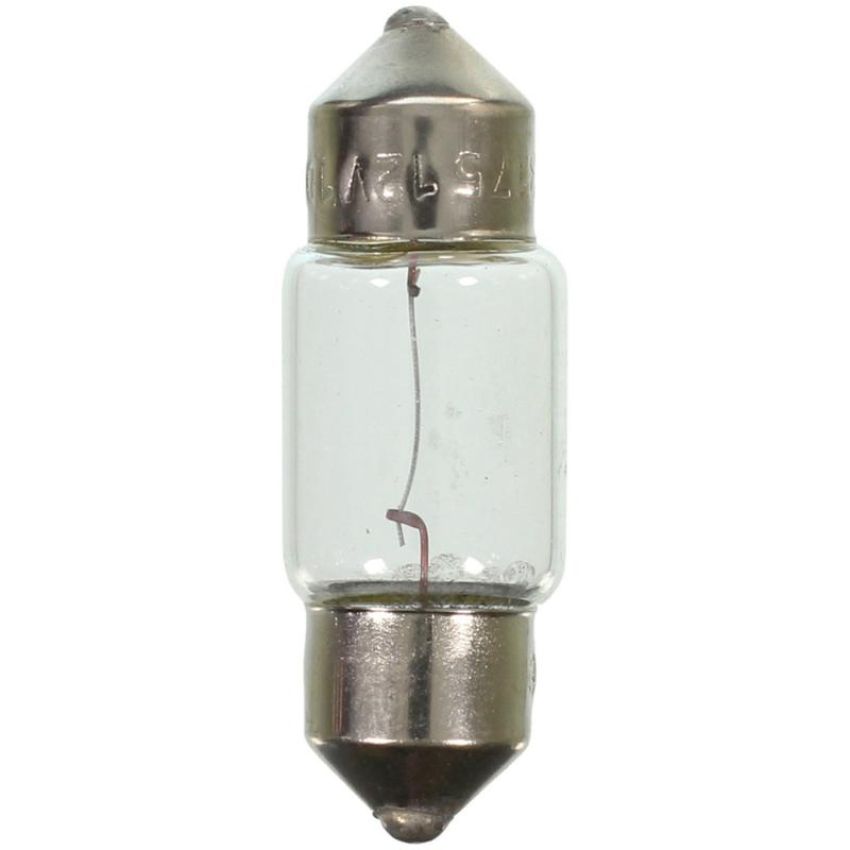WAGNER LIGHTING 12100 Standard Multi-Purpose Light Bulb Box of 10