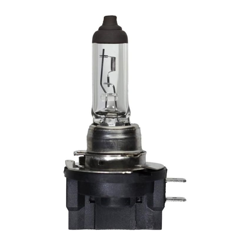 WAGNER LIGHTING 1255/H11B Standard Multi-Purpose Light Bulb