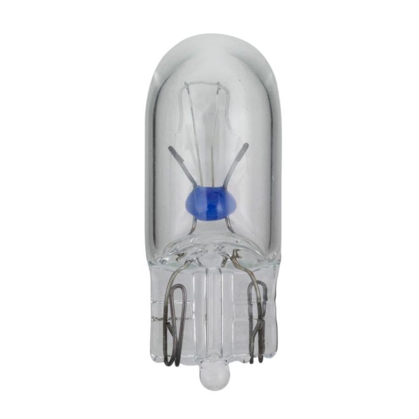 WAGNER LIGHTING 161 Standard Multi-Purpose Light Bulb Box of 10