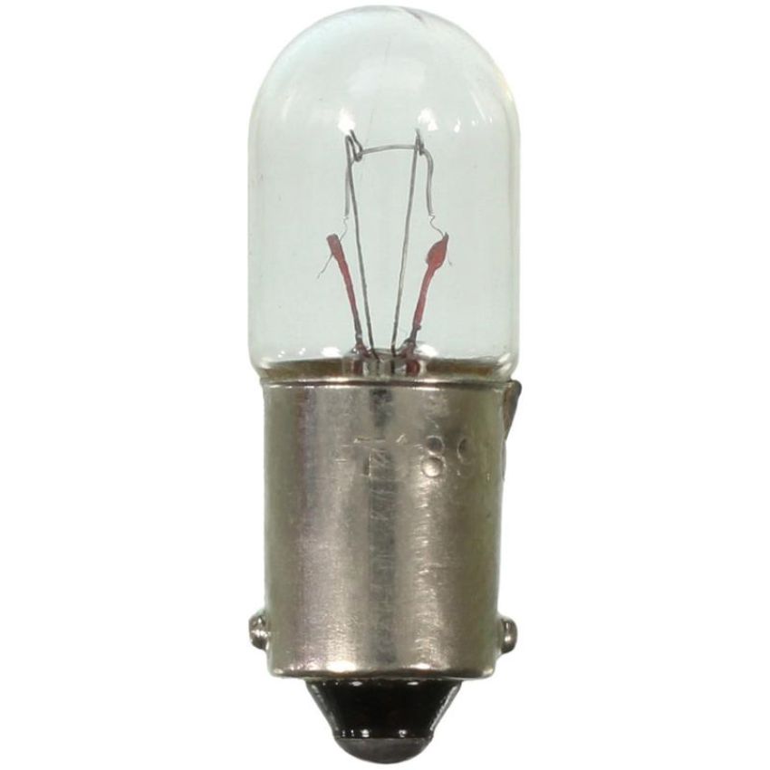 WAGNER LIGHTING 1891 Standard Multi-Purpose Light Bulb Box of 10