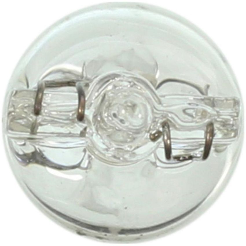 WAGNER LIGHTING 193 Standard Multi-Purpose Light Bulb Box of 10