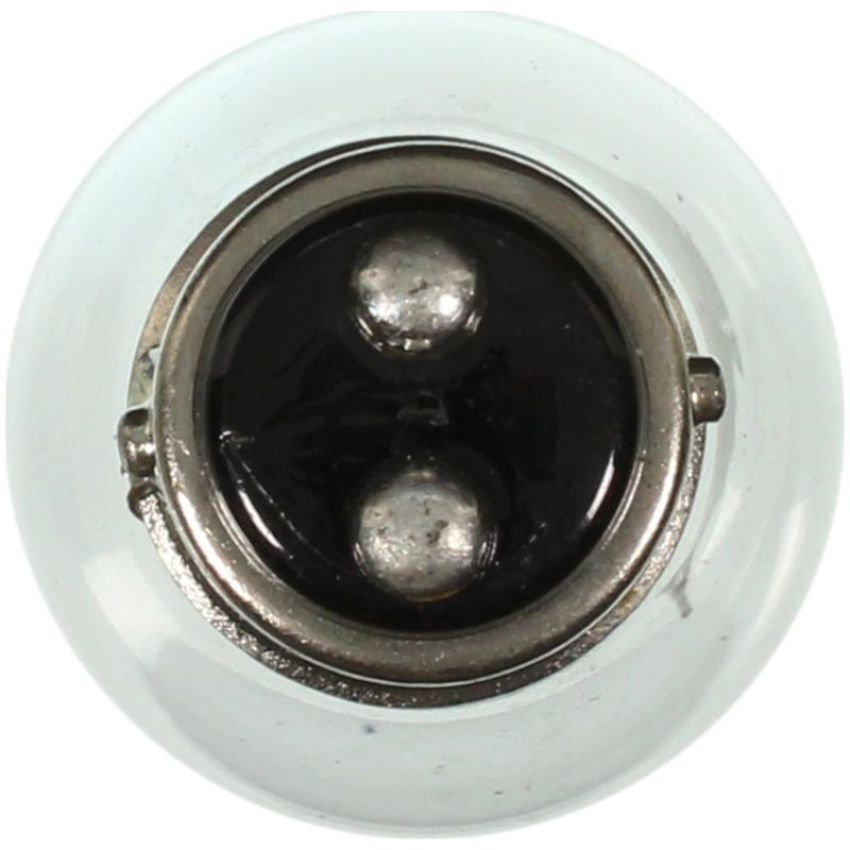 WAGNER LIGHTING 198 Standard Multi-Purpose Light Bulb Box of 10