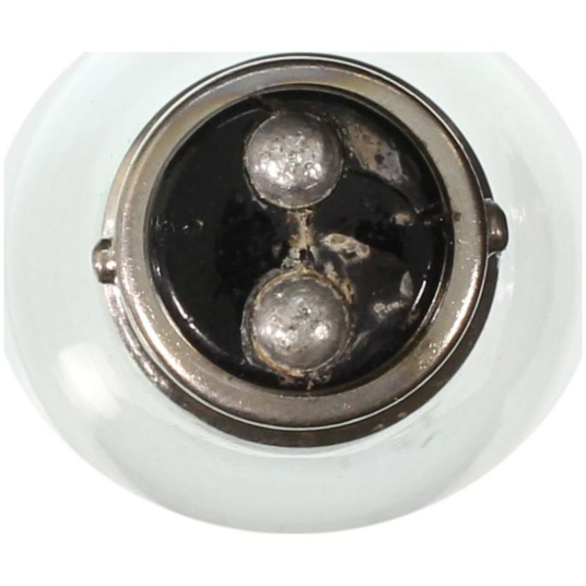 WAGNER LIGHTING 2357 Standard Multi-Purpose Light Bulb Box of 10