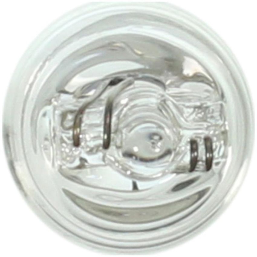 WAGNER LIGHTING 24 Standard Multi-Purpose Light Bulb Box of 10