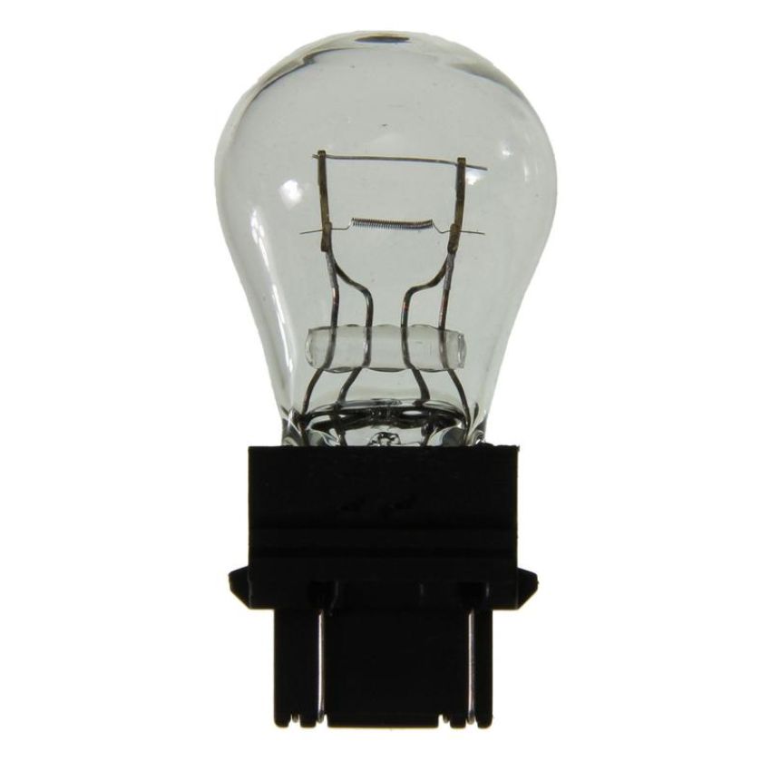 WAGNER LIGHTING 3047 Standard Multi-Purpose Light Bulb Box of 10